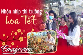 Nhộn nhịp thị trường hoa Tết