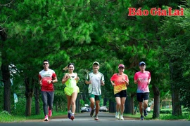 Runner háo hức chinh phục “Giấc mơ đại ngàn”