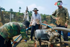 Gia Lai oằn mình trong nắng hạn