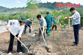 Thường trực HĐND tỉnh và UBND tỉnh dâng hoa, dâng hương tại Nhà Bia di tích HĐND Cách mạng và UBND Cách mạng tỉnh 