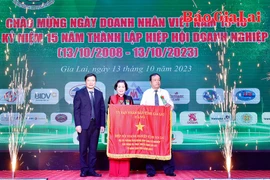 Hiệp hội Doanh nghiệp tỉnh Gia Lai và hành trình 15 năm phát triển