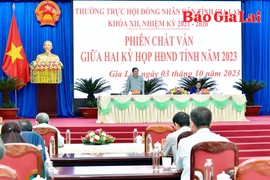 Phiên chất vấn giữa 2 kỳ họp HĐND tỉnh Gia Lai: Giải quyết nhiều vấn đề bất cập, tồn tại