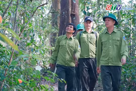 Giữ bình yên cho những cánh rừng