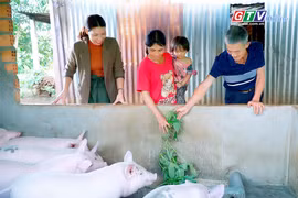 Vượt khó vươn lên thoát nghèo