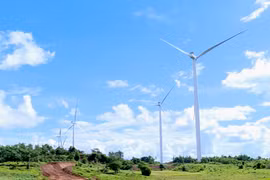 Gia Lai thu hồi bổ sung 103,94 ha đất để thực hiện 17 công trình, dự án