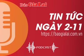 Tin tức sáng 2-11: Vi phạm hoạt động thương mại điện tử, 1 doanh nghiệp bị 30 triệu đồng