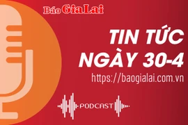 Tin tức sáng 30-4: Gia Lai thanh lý 85 xe ô tô của các cơ quan, đơn vị