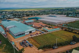 Công ty cổ phần Nafoods Tây Nguyên gắn hoạt động sản xuất với bảo vệ môi trường