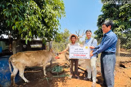 Quan tâm chăm sóc nạn nhân chất độc da cam 