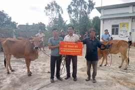 Trao bò giống cho 19 hộ cận nghèo ở xã Ia Rmok