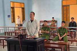 11 năm tù cho đối tượng trộm cắp trâu, bò