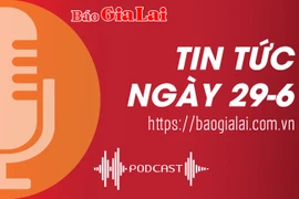 Tin tức sáng 29-6: Ban Chỉ đạo Đề án 06 kiểm tra thực hiện Đề án tại huyện Đức Cơ