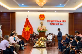 Lãnh đạo UBND tỉnh Gia Lai tiếp đoàn chuyên gia của UNFPA và MSD for Mothers