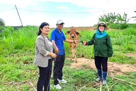 Trao hỗ trợ kinh phí sửa chữa nhà ở và sinh kế cho hộ nghèo An Khê và Đak Pơ