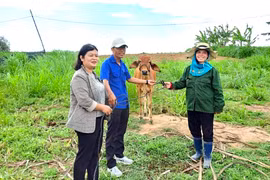 Trao hỗ trợ kinh phí sửa chữa nhà ở và sinh kế cho hộ nghèo An Khê và Đak Pơ