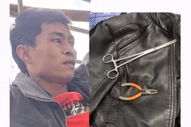 Bắt giữ đối tượng thực hiện 16 vụ trộm liên tỉnh