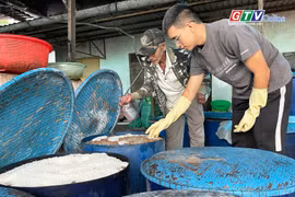 Khám phá xưởng làm tương đen lâu đời nhất Phố núi Pleiku