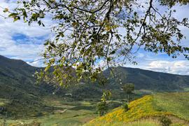 Thơ Phạm Đức Long: Mây trắng trời quê