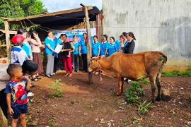 Trao nhà và hỗ trợ sinh kế cho hộ nghèo huyện Đak Pơ, Chư Sê