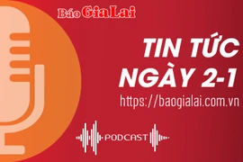 Tin tức sáng 2-1: Xử lý tài xế vi phạm nồng độ cồn: Ý thức người tham gia giao thông nâng lên rõ rệt