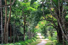 Cúc Phương tiếp tục là Vườn Quốc gia hàng đầu châu Á