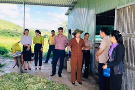 Trưởng ban Dân vận Tỉnh ủy Phạm Thị Tố Hải thăm mô hình nông hội tại huyện Phú Thiện