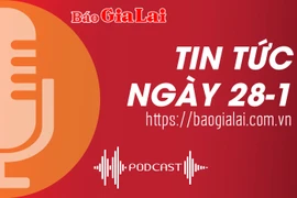 Tin tức sáng 28-1: Gia Lai phát hiện, xử lý 217 vụ buôn lậu, gian lận thương mại, hàng giả