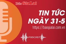 Tin tức sáng 31-5: Chủ tịch UBND tỉnh Gia Lai Trương Hải Long giữ chức Thứ trưởng Bộ Nội vụ