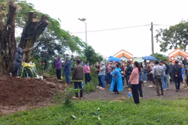 Chư Păh di dời cây si có hình thù giống mặt người