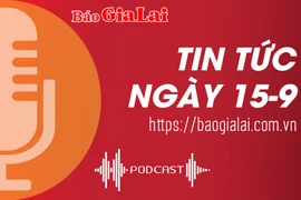 Tin tức sáng 15-9: Gia Lai tiếp nhận hơn 2,3 tỷ đồng hỗ trợ các tỉnh bị thiệt hại do cơn bão số 3 