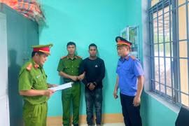 Đak Pơ: Bắt tạm giam một bị can về tội “Vi phạm quy định về khai thác, bảo vệ rừng và lâm sản”