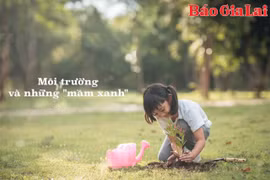 Gia Lai: Môi trường và những "mầm xanh"