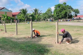 Huyện Đoàn Phú Thiện hỗ trợ 80 trụ bê tông làm hàng rào cho thôn Plei Trớ