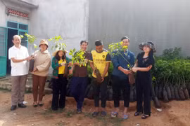 Tặng 1.000 cây giống cao su cho hộ nghèo tại xã Hà Tây