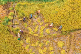 20 sở, ban, ngành tỉnh Gia Lai kết nghĩa với 17 thôn, làng dân tộc thiểu số