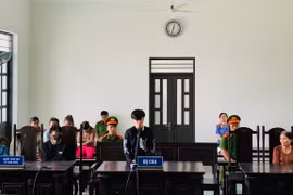 Lãnh án 6 tháng tù vì trộm cắp tài sản