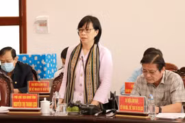 Phó Chủ tịch UBND tỉnh Nguyễn Thị Thanh Lịch được giao điều hành toàn bộ công việc UBND tỉnh