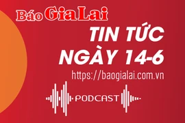 Tin tức sáng 14-6: Kiểm tra việc sử dụng nguồn vốn khắc phục hậu quả thiên tai tại Gia Lai