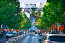 Phố núi Pleiku thanh bình