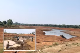 Gồng mình chống hạn