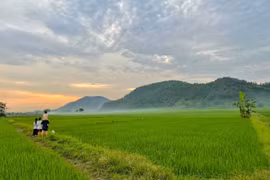 Điểm tựa gia đình