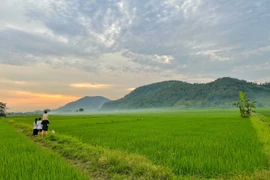 Điểm tựa gia đình