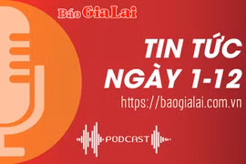 Tin tức sáng 1-12: Bổ nhiệm ông Trương Thanh Tùng giữ chức Phó Giám đốc Sở Tài chính