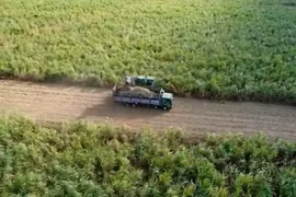 Ia Pa bàn giải pháp phát triển nông nghiệp công nghệ cao