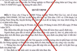 Quyết định giả mạo UBND tỉnh về việc giao đất trồng rừng 