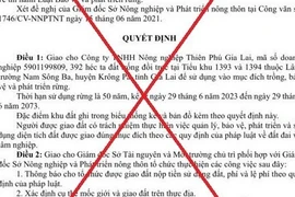 Quyết định giả mạo UBND tỉnh về giao đất trồng rừng