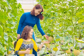 Khu thực nghiệm ứng dụng khoa học và công nghệ tỉnh Gia Lai đón hơn 700 lượt khách