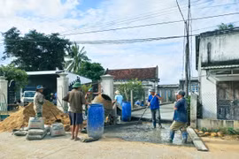 Đak Pơ tổng kết 5 năm thực hiện Nghị quyết về xây dựng huyện nông thôn mới