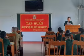 Chư Păh tập huấn nghiệp vụ cho 123 cán bộ Hội Cựu chiến binh cơ sở