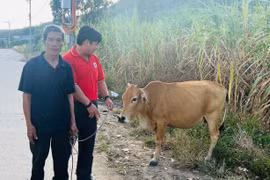 Tặng quà, áo ấm, sinh kế cho người nghèo, học sinh khó khăn huyện Kông Chro và Phú Thiện